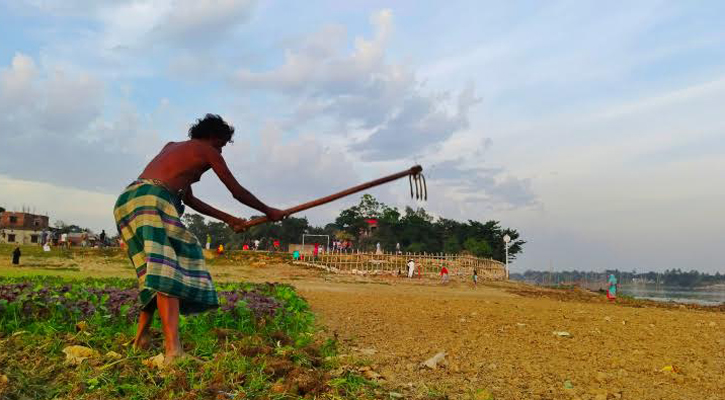 চনপাড়ায় নদীর চরে স্বপ্ন বুনছেন শরফত